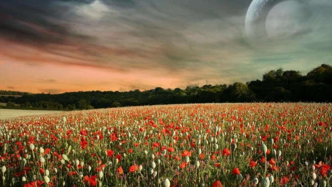 一个非常漂亮的残疾女孩,会有人愿意娶吗?